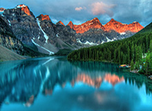 WBG双人种越塔强杀JiaQi拿到一血